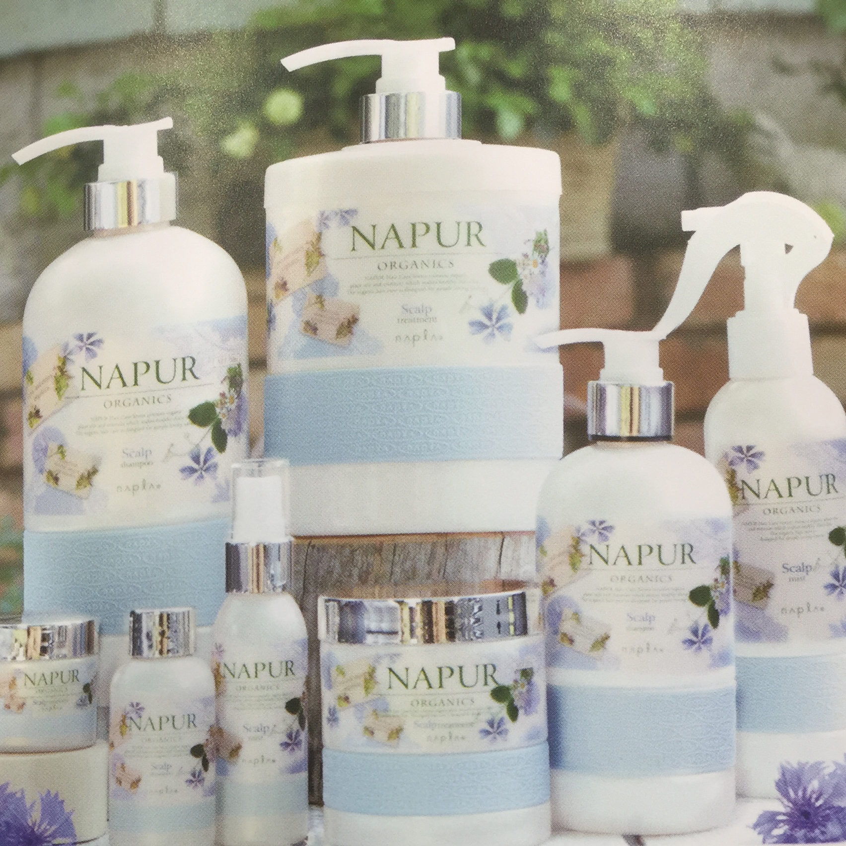 【Scalp】shampoo&treatment / mist